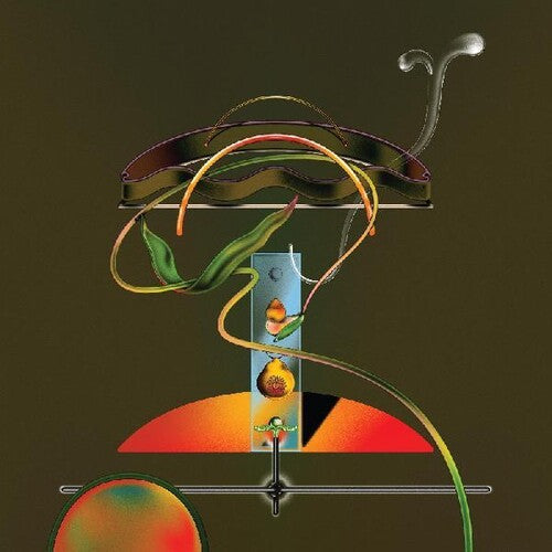 Wand – Spiders In The Rain 2LP (Gatefold)