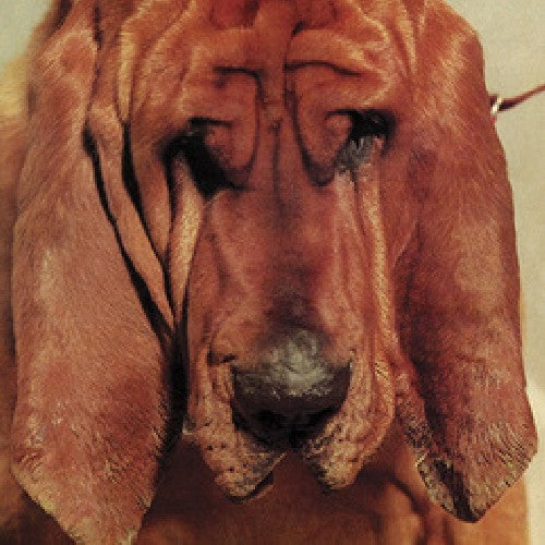 Ty Segall - Goodbye Bread LP