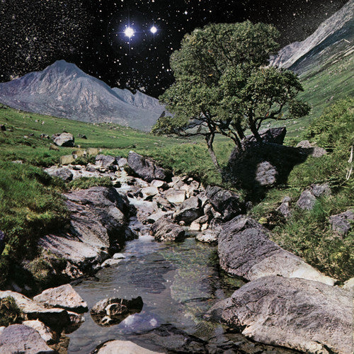 The Beta Band - The Beta Band 2LP (Reissue, Gatefold, Bonus CD)