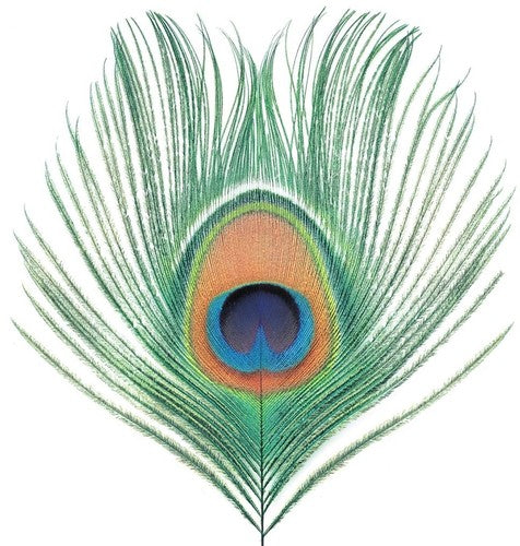 XTC - Apple Venus Vol. 1 LP