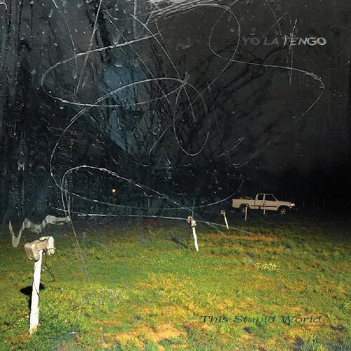 Yo La Tengo - This Stupid World 2LP