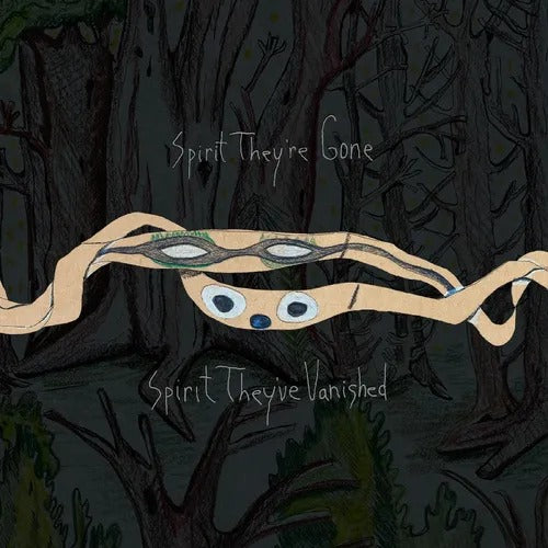 Animal Collective - Spirit LP (Green Vinyl)