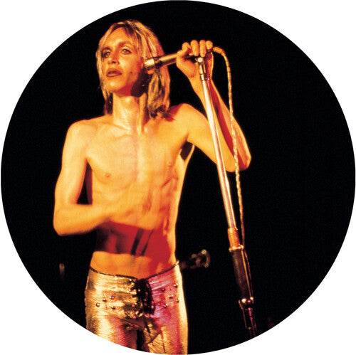 Iggy & The Stooges - More Power LP (Reissue) (Picture Disc)