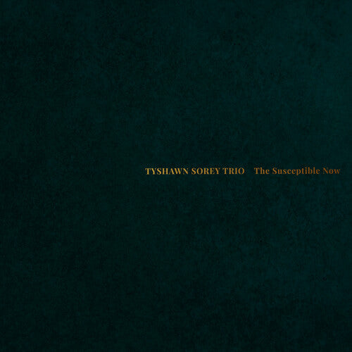 Tyshawn Sorey Trio - The Susceptible Now 2LP
