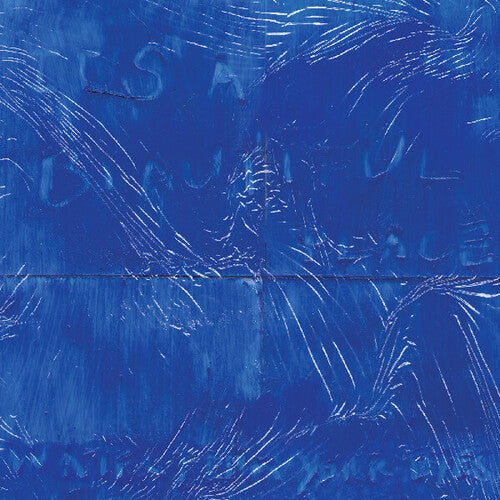 Water From Your Eyes - It's A Beautiful Place LP (Preorder: Ships August 22, 2025)
