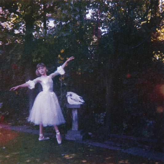 Wolf Alice - Visions Of A Life 2LP