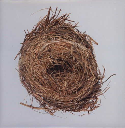 Wilco - A Ghost Is Born 2LP