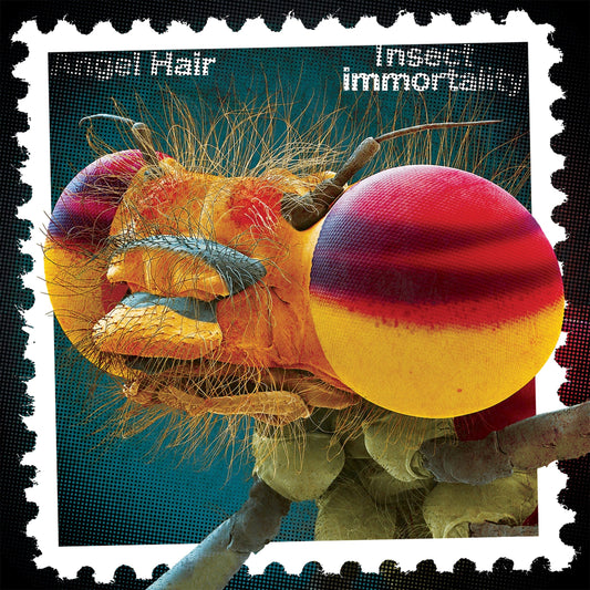 Angel Hair - Insect Immortality LP (Color Vinyl, Gatefold)