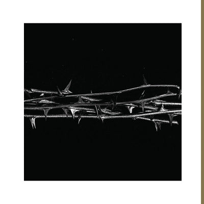 Amenra - De Doorn 2LP