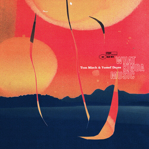 Tom Misch / Yussef Daves - What Kinda Music 4LP (Gatefold)
